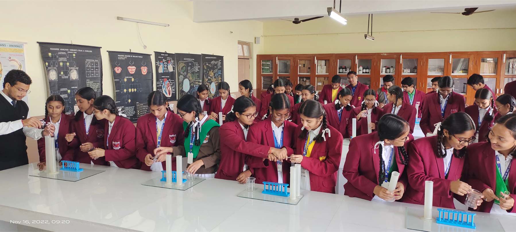 School Image